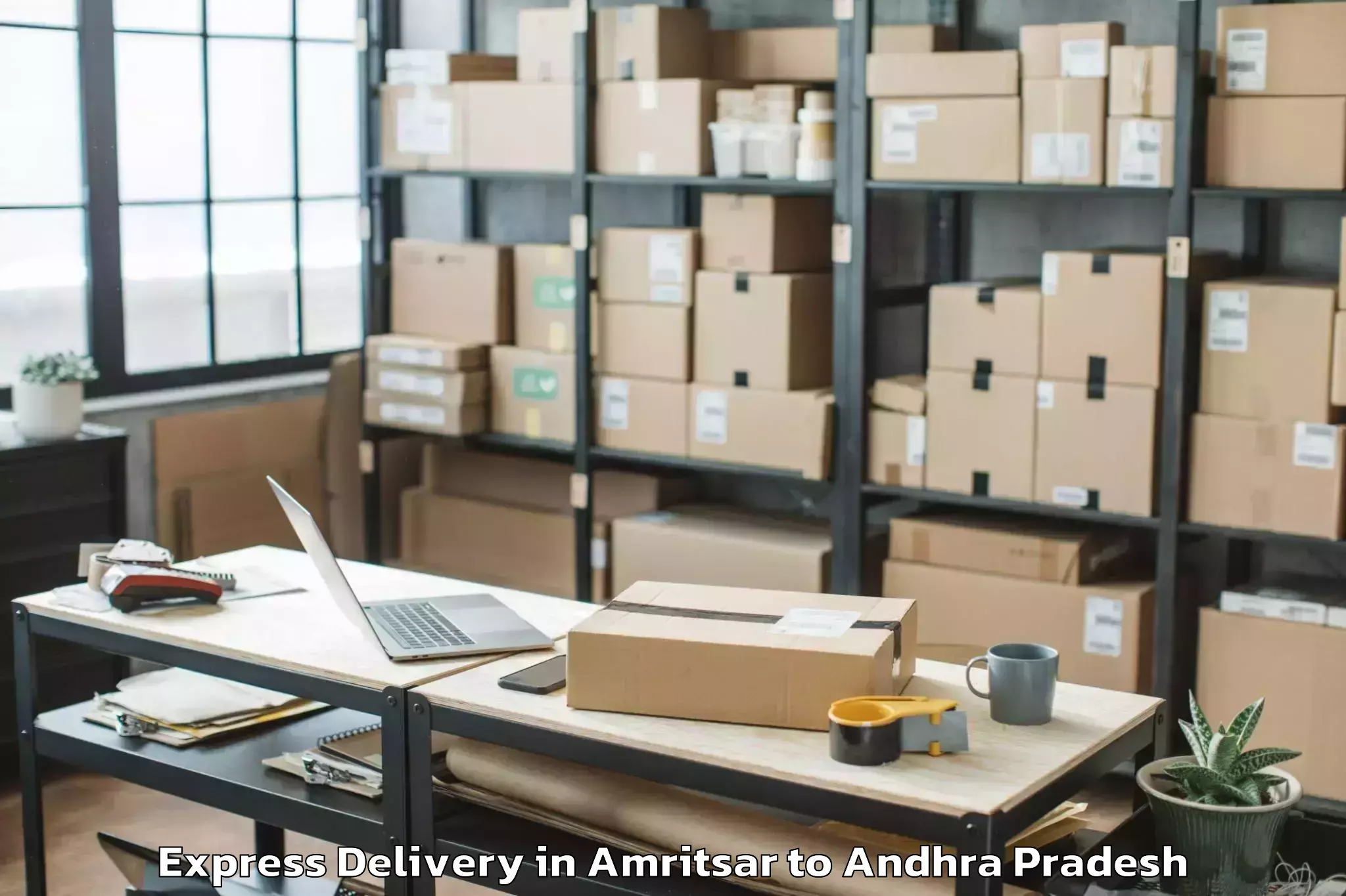 Quality Amritsar to Undrajavaram Express Delivery